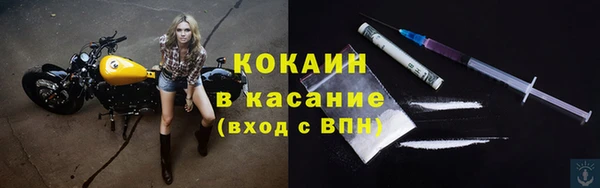 сатива Елизово