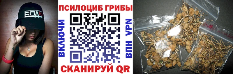Купить  Красноуральск  Галлюциногенные грибы мухоморы 